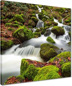 Vászonkép 40x40 Hegyi tájkép patakkal Patak a hegyekben