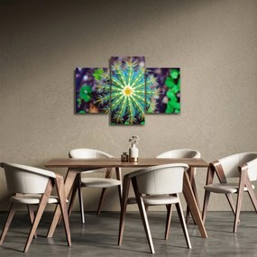 Kaktusz kép (90x60 cm)