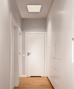 Globo 12380-24W - LED Mennyezeti lámpa LASSE LED/24W/230V 3000/4000/6500K fehér