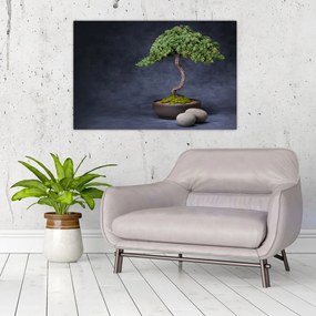 Kép - Bonsai (90x60 cm)