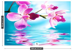 Fotótapéta orchidea Víz 104x70 cm