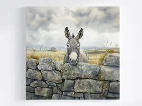 Poszter Tájkép Írország Fal Szamár Természet 80x80