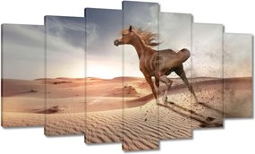 Vászonkép 140x80 Ló Lovak Lovaglás