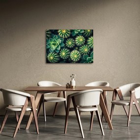 Kép - Kaktuszok (70x50 cm)