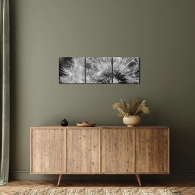 Kép - pitypang pehely (órával) (90x30 cm)