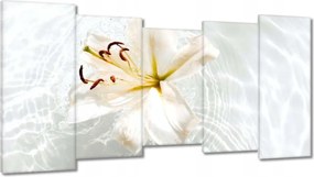 Vászonkép 150x80 Virág a vízen Név