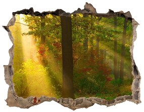3d-s lyuk vizuális effektusok matrica Forest a nap nd-k-75879040