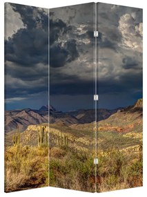 Paraván -  kaktuszok a természetben (126x170 cm)