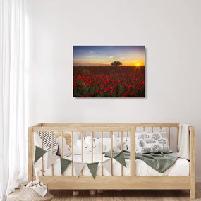 Pipacsos rét képe (üvegen) (70x50 cm)