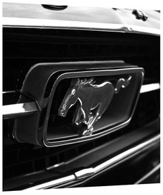 Mustang részletes képe (30x30 cm)