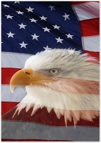 Poszterek 70x100 Freedom from Usa