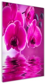Akrilkép Rózsaszín orchidea oav-58002130