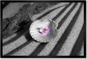 Poszterek keretben 60x40 Kagyló és gyöngy Homok