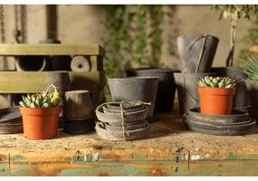 3 db terrakotta virágcserép alátét - Esschert Design