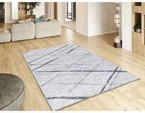 Világosszürke szőnyeg 160x230 cm Class – Universal