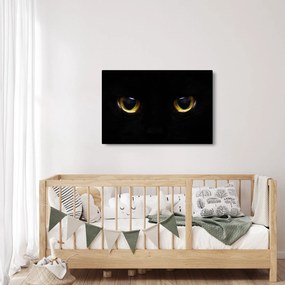 Kép - Macskaszemek (90x60 cm)