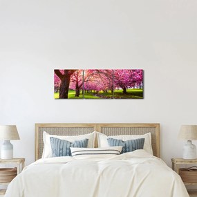 A virágzó cseresznye képe, Hurd Park, Dover, New Jersey (órával) (90x30 cm)