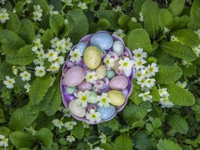 Poszter 40x30cm Húsvéti tojások kosárban 3, Assaf Frank