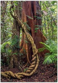 Poszterek 70x100 Tájkép Látvány