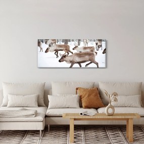 Kép - Rénszarvas (120x50 cm)