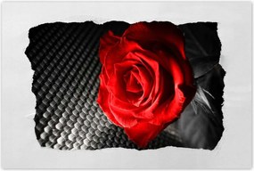 Poszterek 120x80 Piros a szürke között