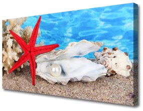 Vászonkép Starfish Shells Természet 100x50 cm
