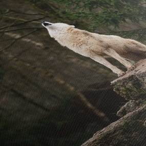 Kép - A farkas üvöltése (120x50 cm)