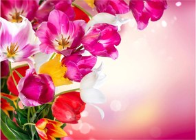 Tulipán képe (üvegen) (70x50 cm)
