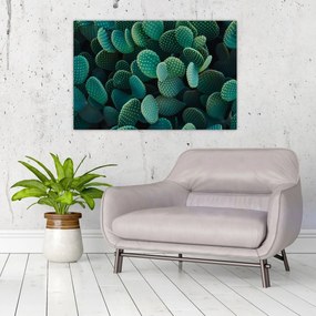 Kép - Opuntia (90x60 cm)