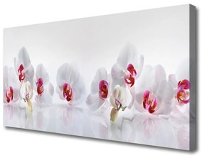 Vászonkép falra Virág növény természet 120x60 cm