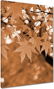 Vászonkép 70x100 Szépia Őszi levelek