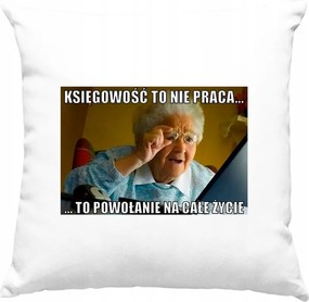 Könyvelő párna Könyvelés Mém Fehér