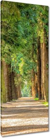 Vászonkép 40x100 Út a parkban Fák