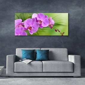 Vászonkép Orchidea Orchidea Virág 125x50 cm
