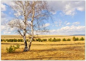Poszterek A0 Szint Nyírfa a mezőn Tájkép