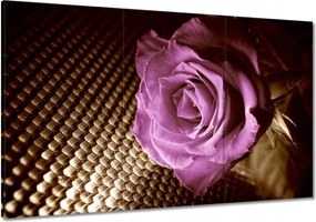 Vászonkép 120x80 Rózsa Lila és szépia