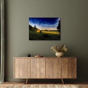 Kép - Hegyi rét (70x50 cm)