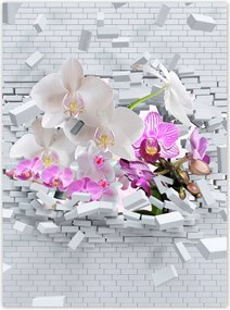 Poszterek 100x135 Orchidea a falon Virágok