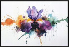 Poszter Alumínium Keret Akvarell Természet Virág Lila Írisz Splash 60x40
