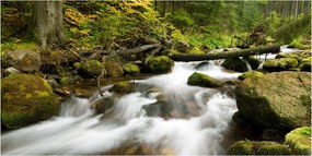 Fotó vászonkép edzett üveg Olczyski patak 140x70