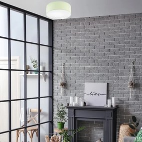 Mennyezeti lámpa SIRJA PASTEL DOUBLE 2xE27/15W/230V átm. 35 cm zöld