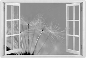 Poszterek 60x40 Pitypang Virág Virágok