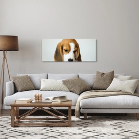 Beagle képe (120x50 cm)