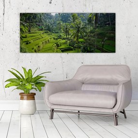 Kép a rizs teraszokról, Tegalalang, Bal (120x50 cm)