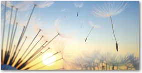 Fotó üvegkép Pitypang magok 140x70