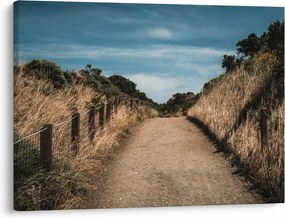 Kép - A járdán (70x50 cm)