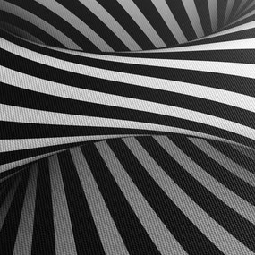 Absztrakt kép zebra csíkokkal (120x50 cm)
