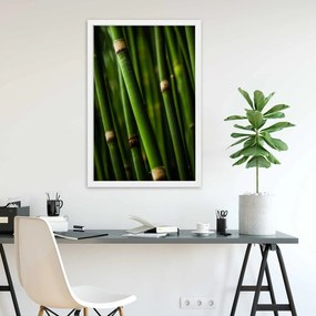 Gario Poszter Bambusz erdo A keret színe: Természetes, Méret: 60 x 90 cm