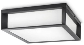 Philips - Kültéri mennyezeti lámpa SKIES 2xE27/14W/230V IP44 antracit