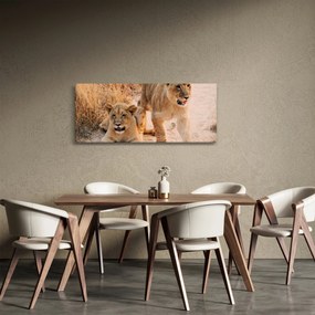 Egy oroszlán képe (120x50 cm)